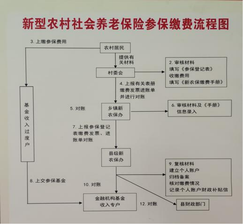 邵阳农村医保和社保有什么区别(农村医保跟社保的区别)