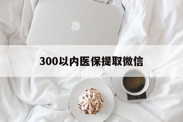 邵阳300以内医保提取微信(300以内医保提取微信离职可以用吗)